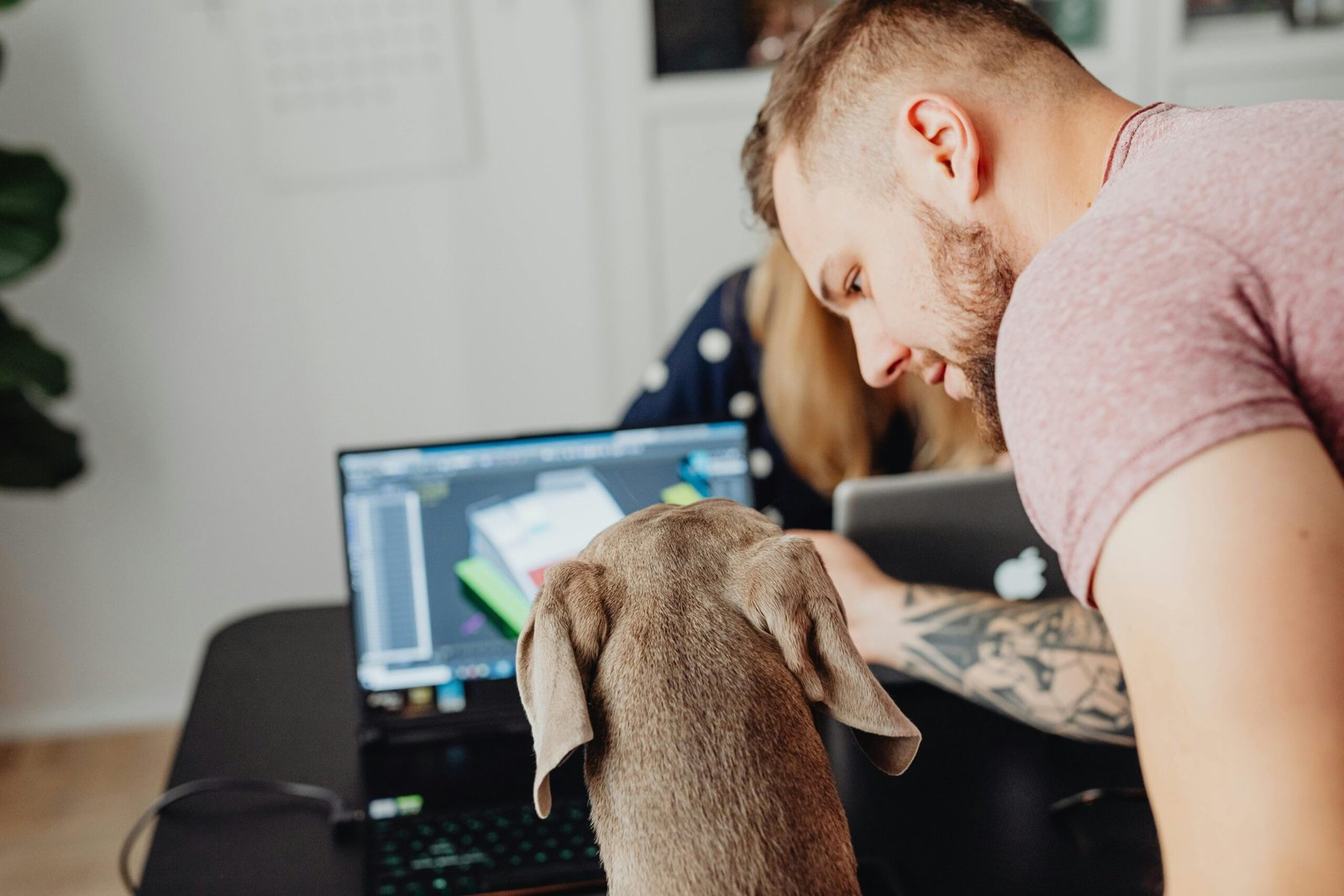 Man and dog collaborating at a desk with laptops, conveying teamwork.